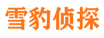 修文捉小三公司